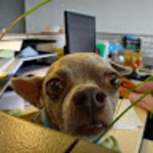 Meet your Posher, Mari-anna